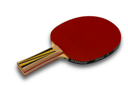 Donic Top Team 500 Table Tennis Racket