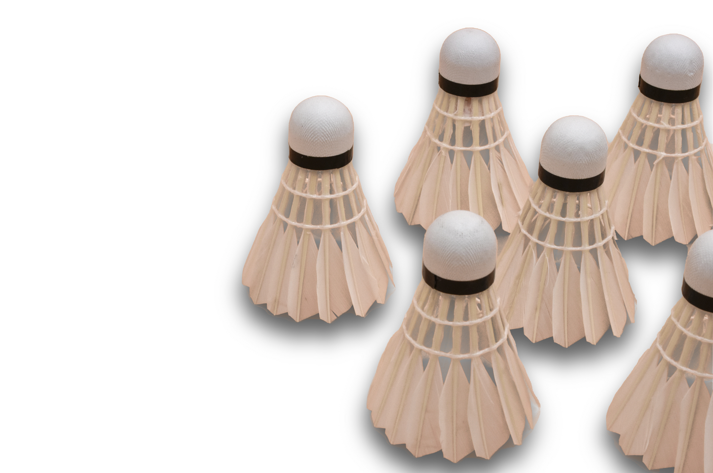 Talbot Torro Hit 750 Training Shuttlecocks